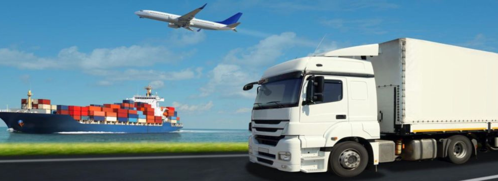 UBN International Exporter & Trader