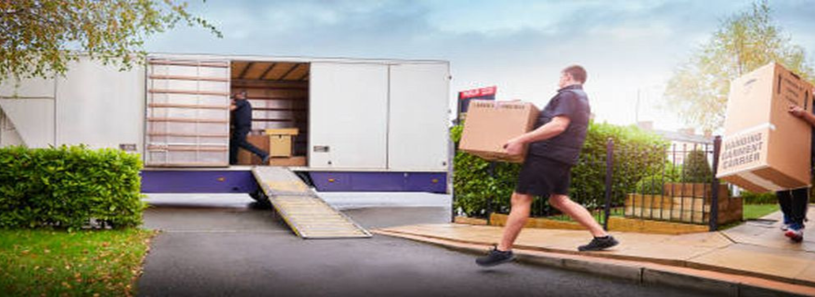 UBN International Exporter & Trader